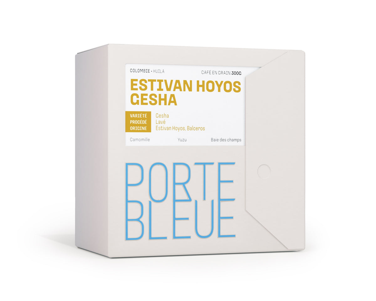 Estivan Hoyos Gesha