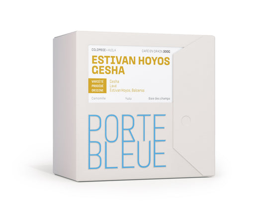 Estivan Hoyos Gesha