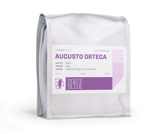 Augusto Ortega